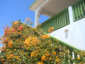 Country Cottage Anguilla